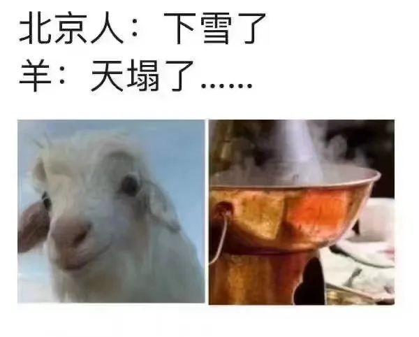 人：天冷了 羊：天塌了