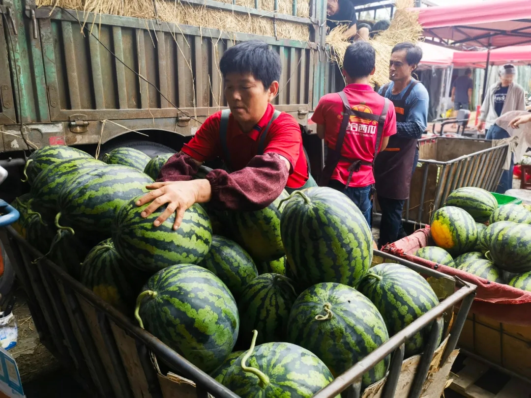 “甜蜜”正当时！夏日水果陆续“上新”了