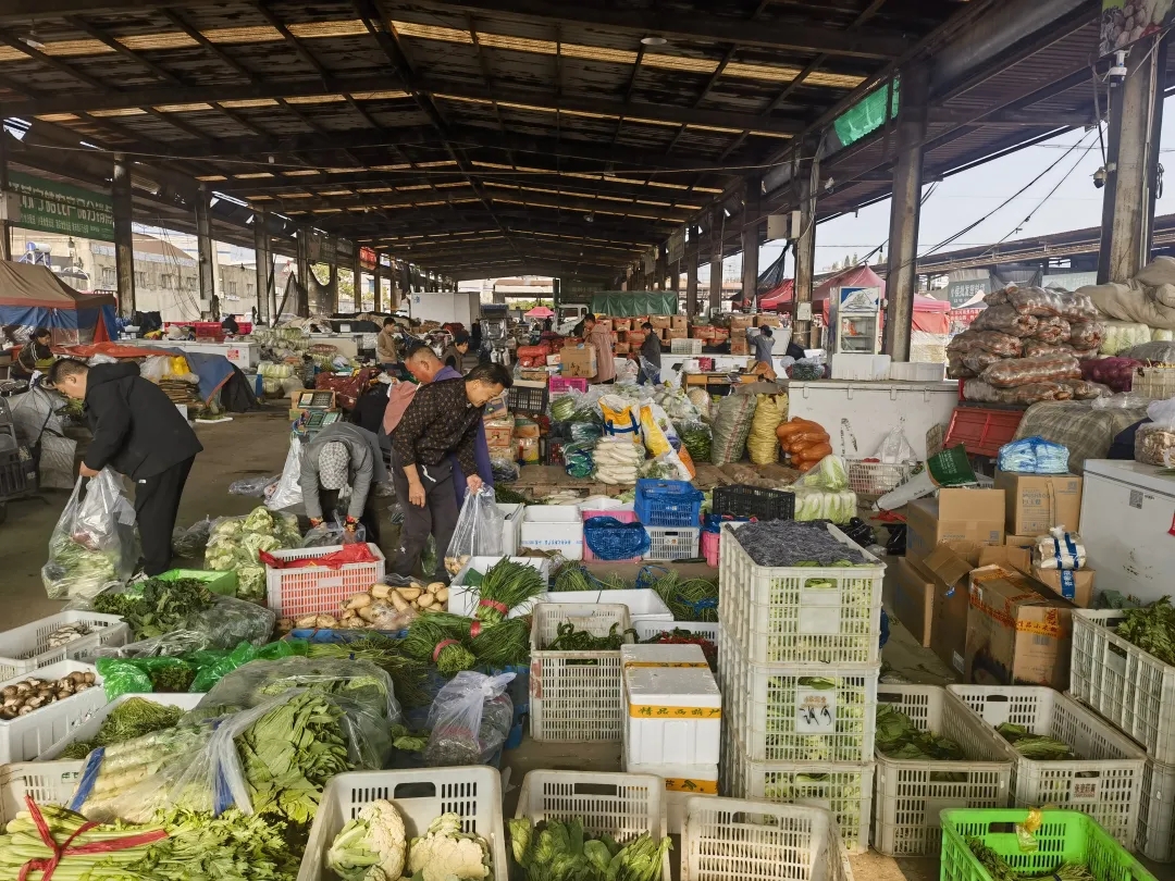 本地菜大量上市 菜价“退烧”了