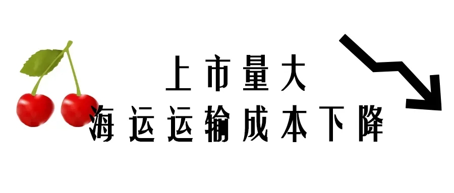 海运到货！车厘子价格“断崖式”下跌！