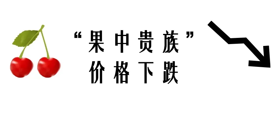 海运到货！车厘子价格“断崖式”下跌！