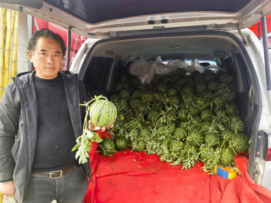 “吃瓜模式”开启！首车睢宁西瓜已到货~